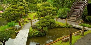 Tea Garden