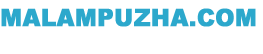 Awesome Logo